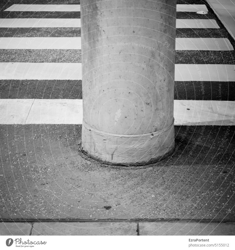 Zebra (plump) Street Asphalt Pedestrian crossing Zebra crossing Stripe lines Transport Safety Black White Column