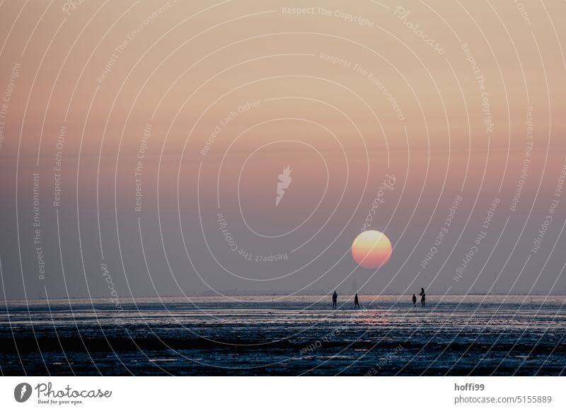 four people him Wadden Sea at sunset, in the background the blurred silhouette of Wangerooge Sunset Sunset sky Ocean sunset mood Sunset light Dusk