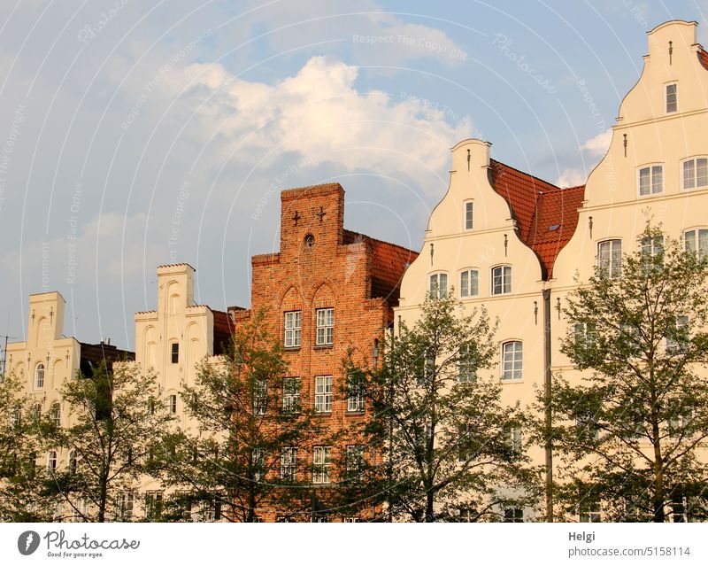 historical house facades behind row of trees in front of blue sky with clouds Building Manmade structures House (Residential Structure) Facade Historic Old