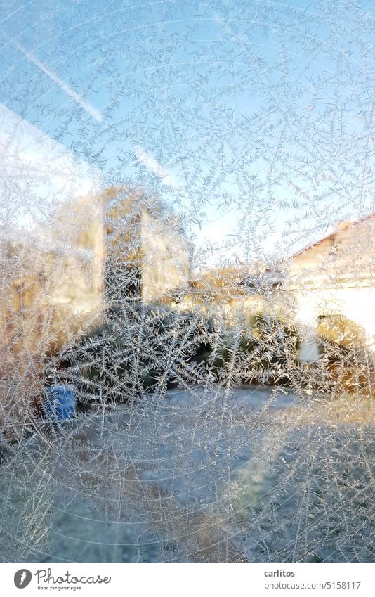 If the water freezes on the pane, I'll look for a new place to stay. (part 1/2) Ice ice crystals Frost Winter Glass Pane Pattern structure Cold Frozen Nature