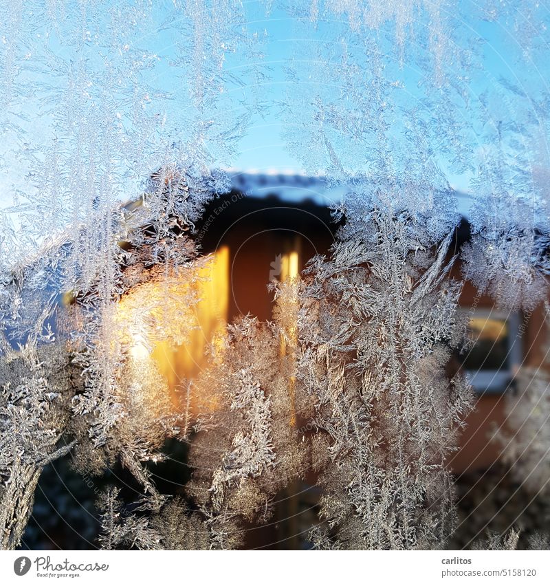 If the water freezes on the pane, I'll look for a new place to stay. (part 2/2) Ice ice crystals Frost Winter Glass Pane Pattern structure Cold Frozen Nature