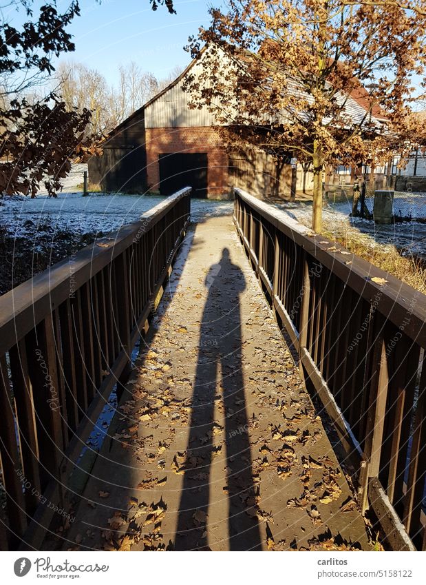 When the sun is low even dwarfs cast long shadows Man Bridge rail Shadow foliage Snow Farm Sky Architecture Bridge railing Blue Sunlight Lanes & trails