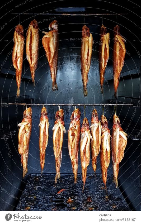 Just hang out with the clique | Smoked fish Fish Kipper smokehouse Markets Nutrition Food Hang Dead animal Delicious Smoked trout Fish market Fishery smoke oven