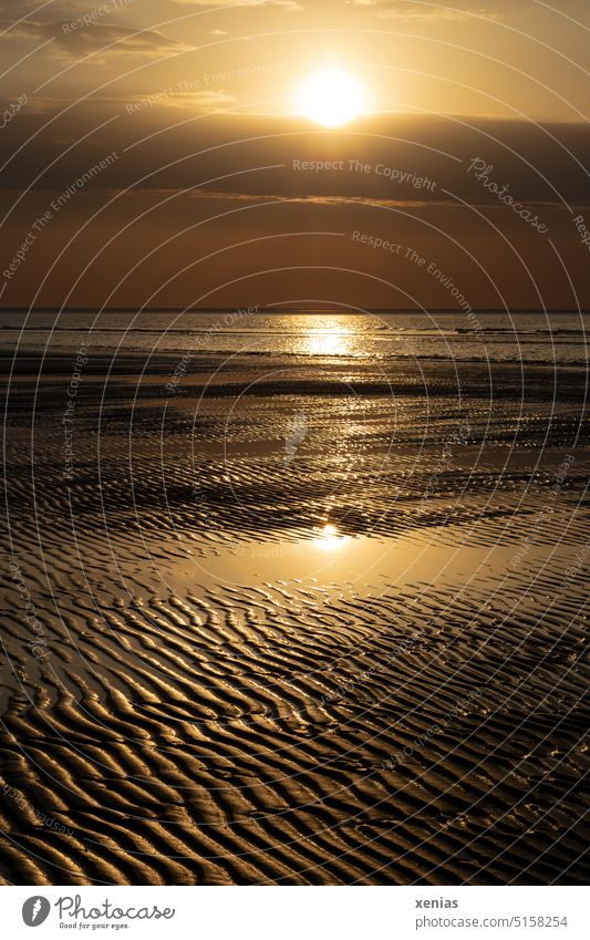 Sunset at low tide in yellowish tones with reflection on the mudflats Evening Low tide Mud flats North Sea Moody Beach Vacation & Travel Landscape Horizon Tide