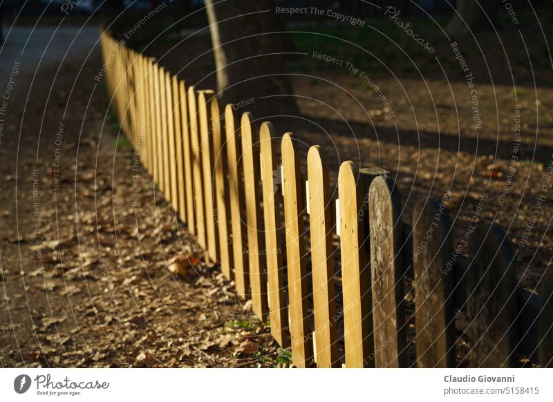 Wooden fence in the Bompiani garden, Milan Europe Italy Lombardy October Valentino Bompiani autumn color day fall nature outdoor park photography wood
