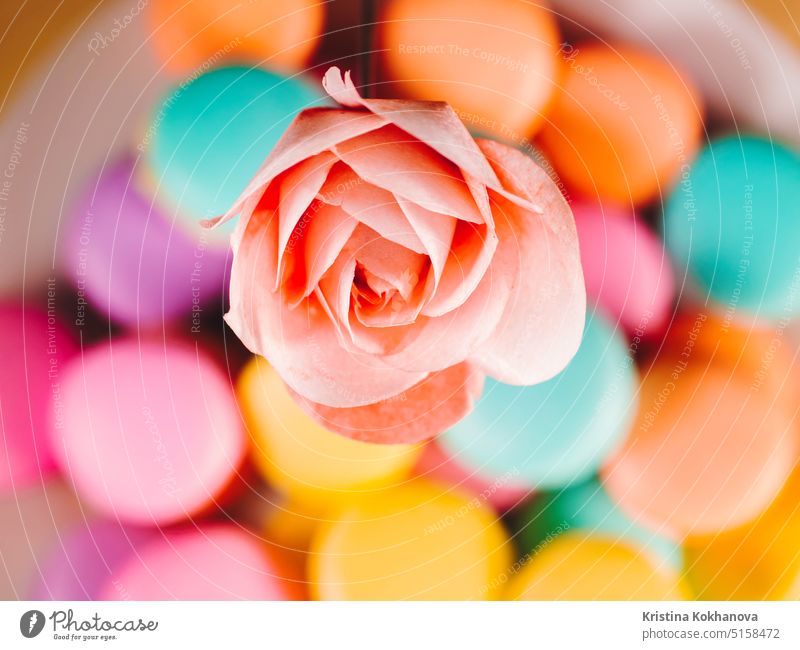 beautiful gentle rose created for the decor of desserts and cakes on a background of bright macarons waffle summer white cone art color design floral flower
