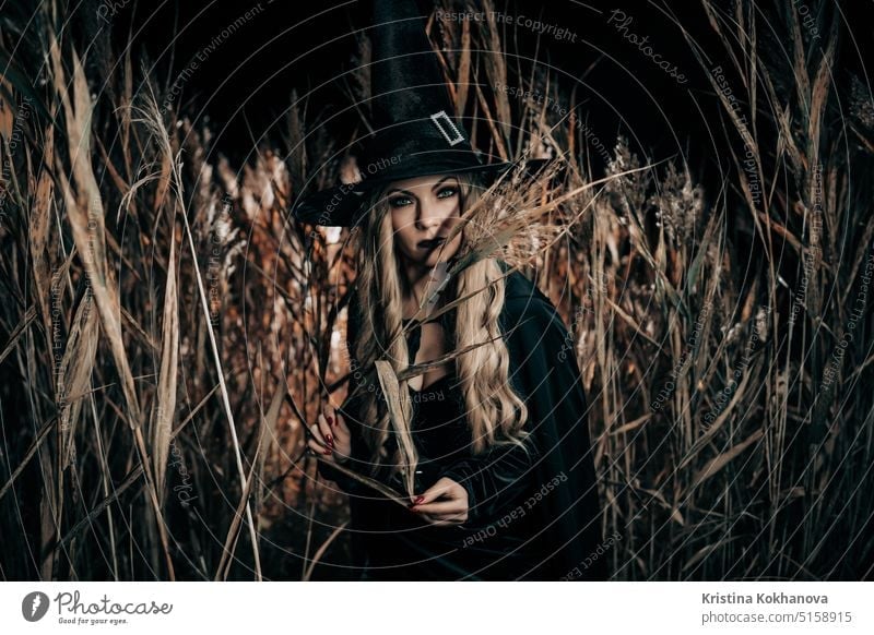 Blonde witch in black cape and hat posing in reeds field at night . Halloween halloween girl horror spooky person woman dark child costume magic party fun
