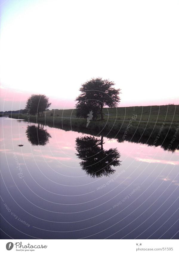 mirroring Violet Reflection Tree Calm Water Sky Clarity Evening