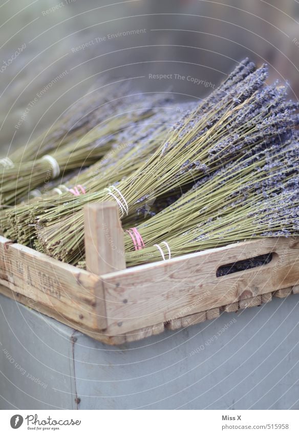 lavender Food Herbs and spices Nutrition Organic produce Italian Food Flower Blossom Blossoming Fragrance Faded Dry Violet Farmer's market Wooden box Lavender