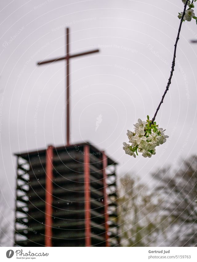 Spring blossom in front of church tower with cross Flower Flowers and plants Blossom Colour white Church Nature Church spire Twig Twigs and branches Sky