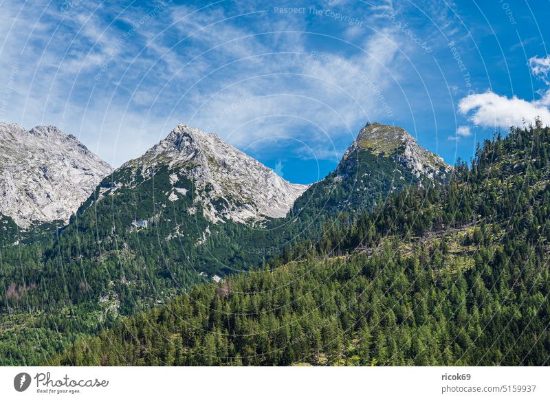 Landscape in Klausbach valley in Berchtesgadener Land in Bavaria Klausbachtal Berchtesgaden Country Alps mountain Tree Forest Rock Nature Summer Clouds Sky