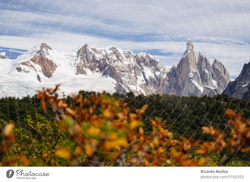 Mountain vibes Mountaineering fall Autumn Winter peaks summit Snow Snowcapped peak glacier Nature Nature reserve National Park patagonia South America