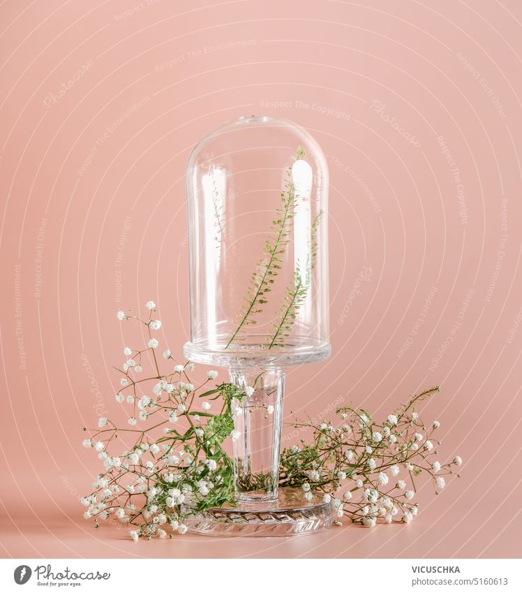 Empty glass dome with green leaves and gypsophila flowers on pastel pink background. Scene stage showcase mock up. Advertising template empty scene advertising