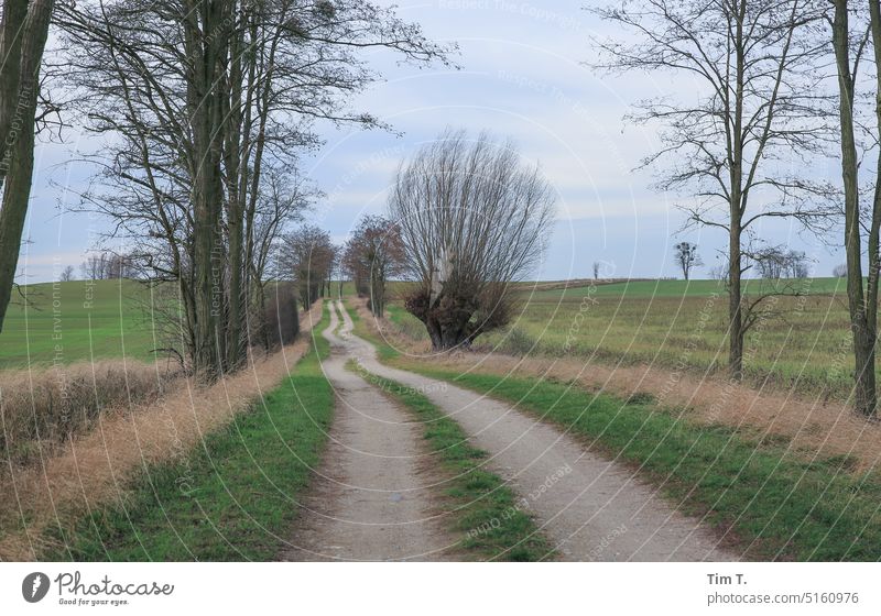 a long rutted road in Brandenburg Uckermark Winter Lanes & trails Colour photo Tree Deserted Exterior shot Landscape Day Field Sky Nature Environment