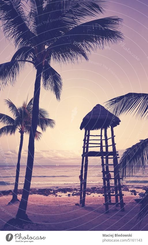 Silhouette of a tropical beach at sunset, color toning applied. water summer sky travel nature vintage tree retro ocean island palm beautiful outdoors sea