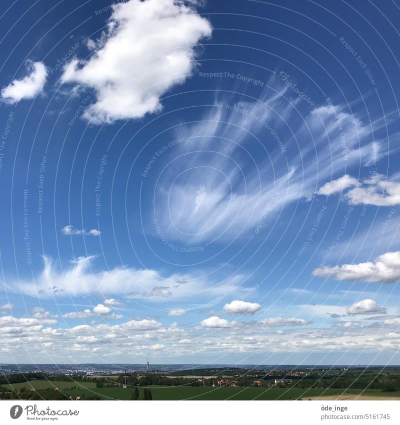 Sylph cirrostratus clouds Sky Clouds Horizon Blue Landscape Summer Exterior shot Beautiful weather Dresden Ease Far-off places Panorama (View) Weather Air