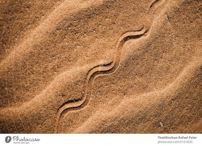 Trace of a snake in the sand Tracks trace Sand Brown Nature Exterior shot Snake Pattern Colour photo Namibia