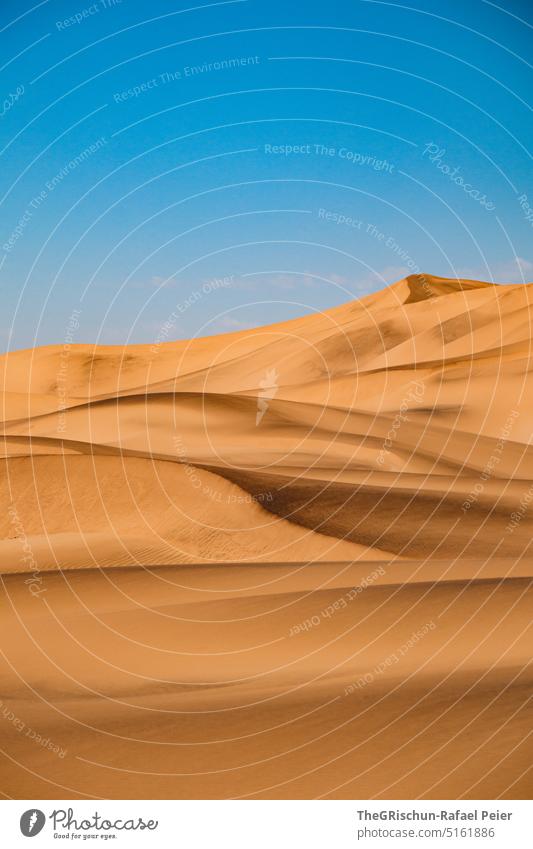 Dune against blue sky Pattern duene Blue Sky Sand Namibia Grains of sand Sampling Nature Landscape Africa Far-off places Warmth Colour photo dunes colors sandy