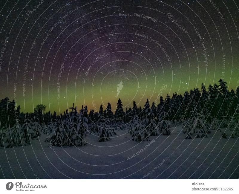 Swedish Lapland at night Aurora Aurora Borealis Swede Abyssinian Milky way stars Night Dark Snow Cold Frost Illuminate aurora polaris
