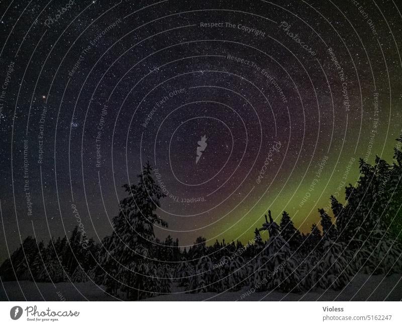 900 billion stars Aurora Borealis Swede Abyssinian Snow firs aurora polaris northern lights luminous phenomenon solar wind Swedish Lapland Frost chill Night
