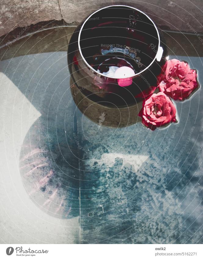 Rocking along Wash tub Flower pink Blossom Swimming & Bathing Tea warmer candle Water Collector's item Bathtub Glittering Illuminate Blue Esthetic Decoration
