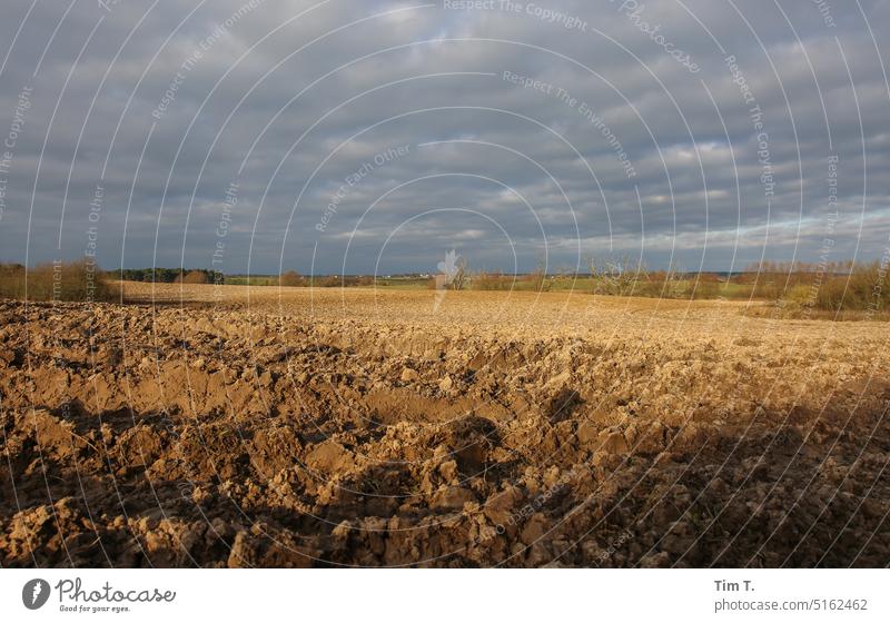 a plowed field Uckermark Brandenburg Field Arable land Sky Winter Landscape Exterior shot Deserted Nature Day Colour photo Cold Copy Space top Environment