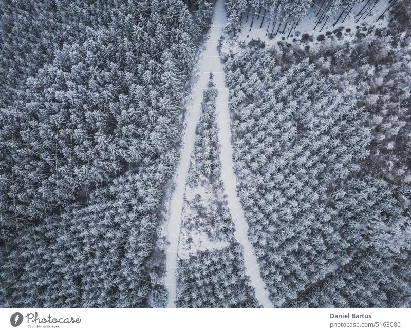 Aerial view of beautiful winter forest scenery aerial forest aerial photography aerial snow aerial winter background beauty blue cold countryside covered