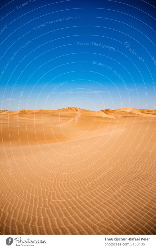 Dune against blue sky with pattern Pattern duene Blue Sky Sand Namibia Grains of sand Sampling Nature Landscape Africa Far-off places Warmth Colour photo dunes