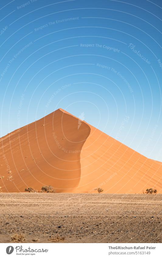 Dune against blue sky Sand duene Namibia Africa travel Desert Landscape Adventure Nature Warmth dune 45 Sossusvlei Far-off places