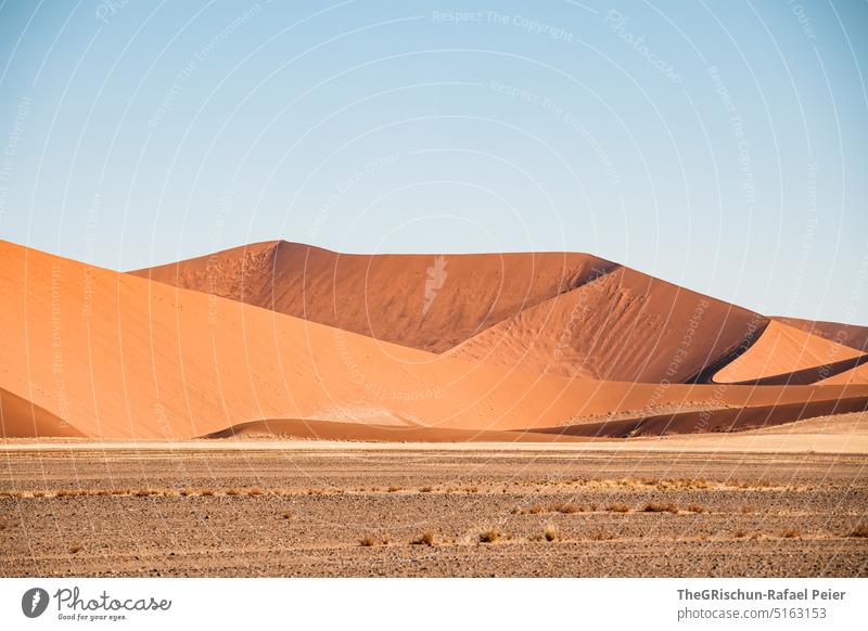 Sand dune against blue sky Namibia Desert Sossusvlei duene Dry Hot Africa Landscape Nature Far-off places Warmth Namib desert Adventure Loneliness