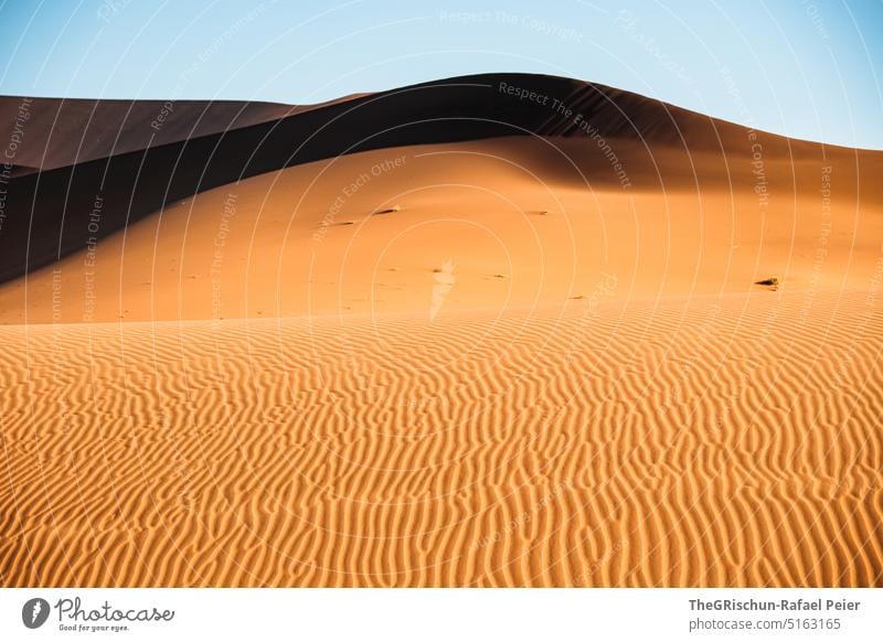Sand dune pattern against blue sky Namibia Desert Sossusvlei duene Dry Hot Africa Landscape Nature Far-off places Warmth Namib desert Adventure Loneliness