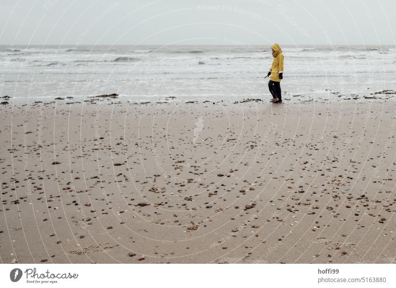 lonely walker in yellow raincoat in bad weather walks by the stand Denmark Rain Raincoat Walk on the beach Yellow Weather Nature Outdoors Wet Watertight rainy