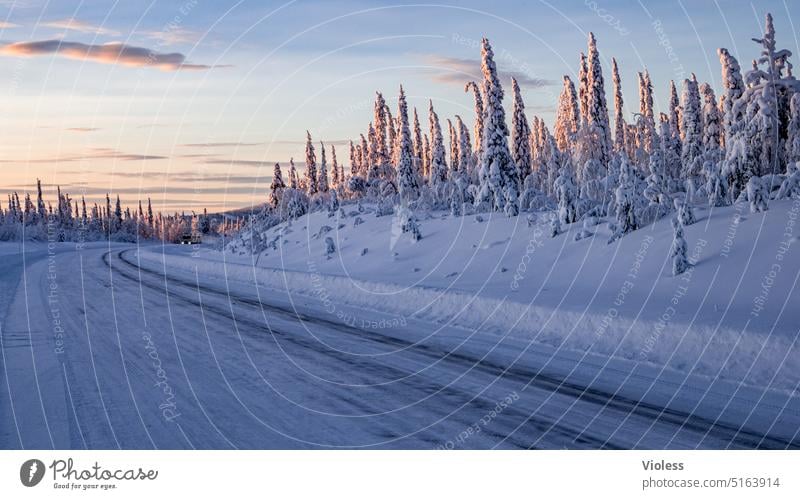 tracks | drive north Swede Lapland Nature reserve Northern Sweden Spruce firs Winter Frost Snow Sunrise Dawn snow-covered Frozen Cold