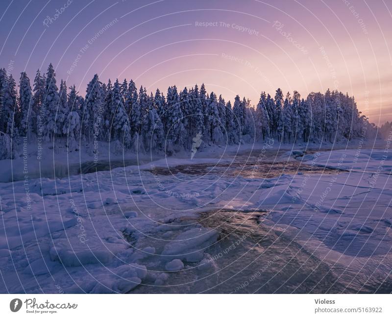 Storforsen rapids in the evening light IV storfords Norrbotten län Swede Northern Sweden Nature reserve Rapid Winter Frost Snow Cold Frozen afterglows firs