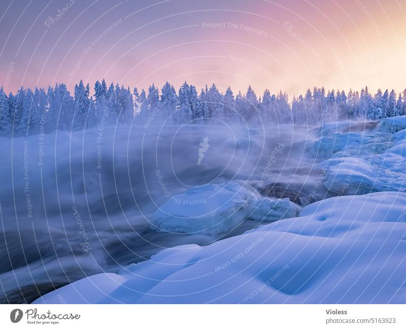 Storforsen rapids in the evening light V storfords Norrbotten län Swede Northern Sweden Nature reserve Rapid Winter Frost Snow Cold Frozen afterglows firs