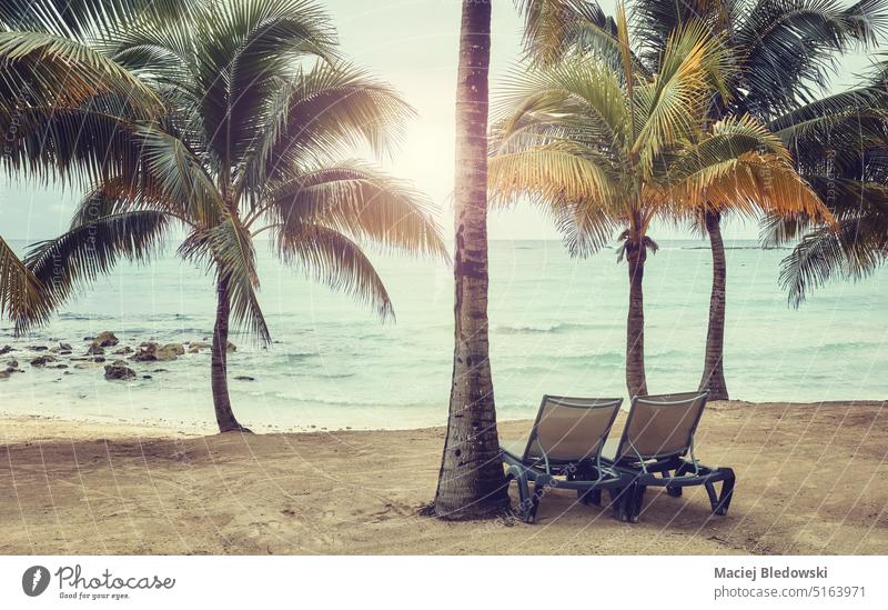 Retro toned picture of an empty tropical beach, travel concept. nature sun bed tree palm island sky horizon outdoor beautiful sea retro ocean vintage water sand