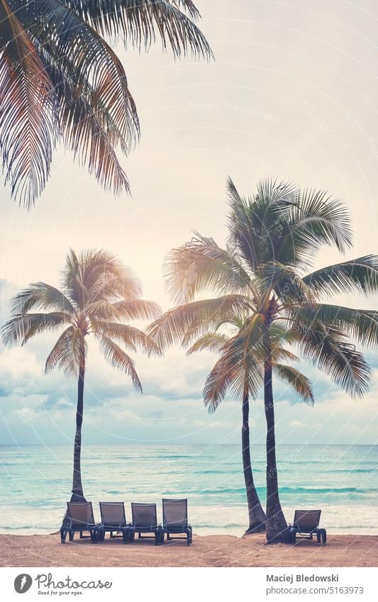 Retro toned picture of an empty tropical beach, travel concept, Mexico. nature sun bed tree coconut palm island sky horizon outdoor beautiful sea retro ocean