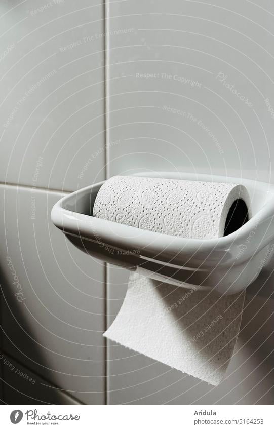 Toilet paper roll in white ceramic holder toilet paper toilet roll roll holder Pottery White black-white bathroom Bathroom monocrome hygiene Clean
