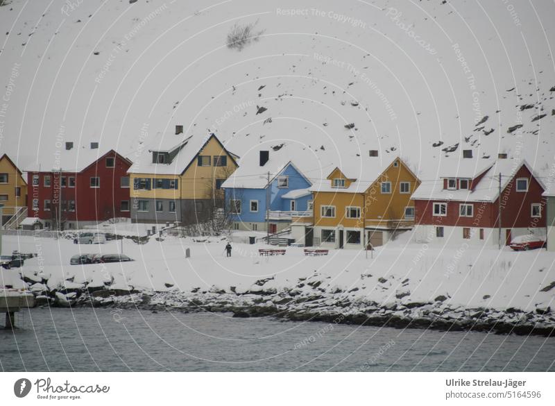 colorful wooden houses by the sea in the snow Wooden houses Yellow Red light blue Snow Winter Cold Ocean Water coast Harbour lonely settlement snow slope White