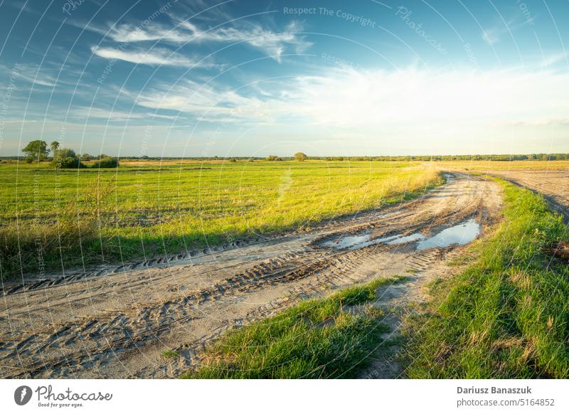 Sandy road with a puddle through rural fields and white clouds on the sky, Czulczyce, Poland blue grass nature green countryside landscape dirt background