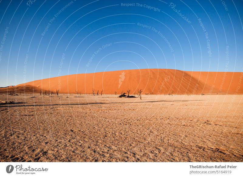 Over Sahara. So much more than bland sand dunes : r/flightsim