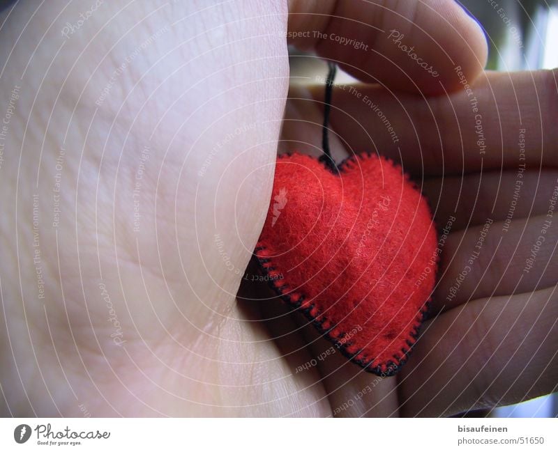 A strange heart in my hand... Hand Fingers Heart Cloth Felt Grasp Red Ball of the hand To hold on Love