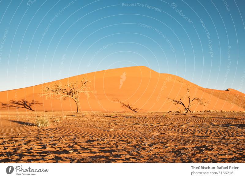 Sand stage with sand pattern in foreground duene Namibia Africa travel Desert Landscape Adventure Nature Warmth dune 45 Sossusvlei Far-off places Brown cute