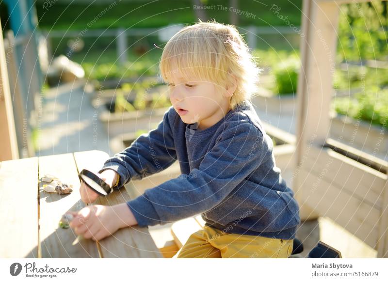 Child playing with pebbles and explores them with a magnifying glass. Little boy studying of various natural materials. Kids explore nature. Alternative education. Montessori educational system.
