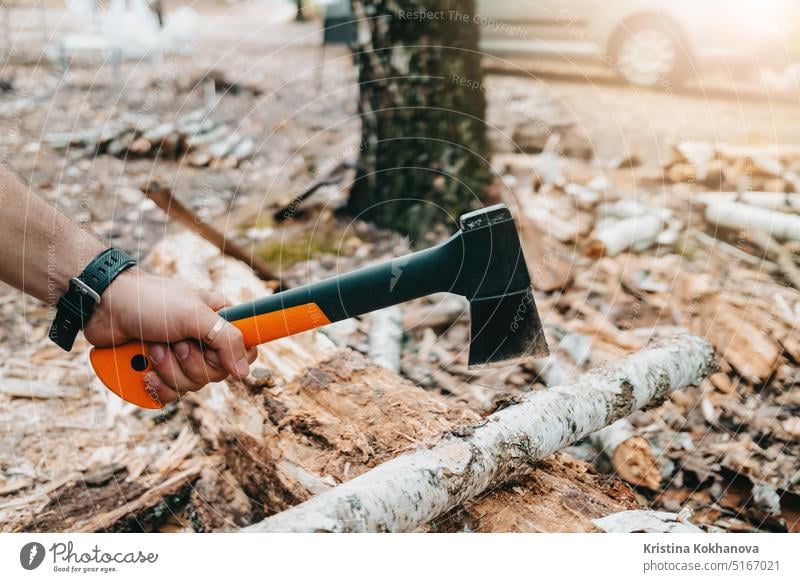 Male hand with small ax. Cutting birch wood in camping for bonfire axe cut firewood forest log lumber lumberjack man outdoor timber tool tree wooden block chop