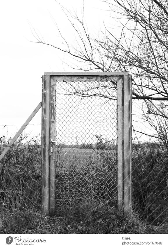 Stories from the fence (128) Fence door Field acre shrub Border Property Agriculture Protection Safety Tree Branch Meadow green stuff locked Grating Sky Gray