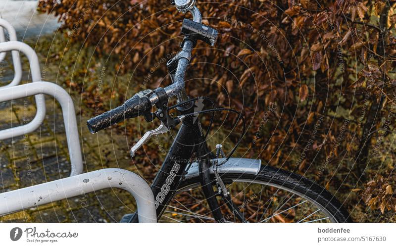 A black bicycle was surprised by the rain, it leans against gray bicycle stand. In focus are the handlebars and the upper part of the front wheel. On the left of the picture there are parts of four bicycle stands, a beech hedge in the background.