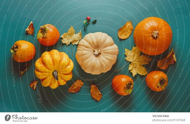 Autumn composing with pumpkins, persimmon and fall leaves on blue background, top view autumn orange color october crop nature harvest thanksgiving seasonal