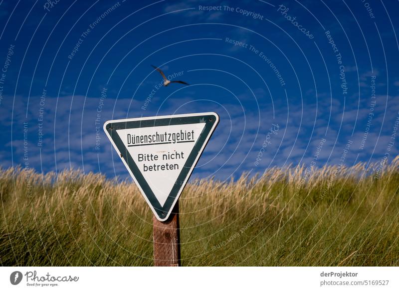 Nature protection sign on the Helgoland dune II Beach Sunbathing Species diversity nature conservation Experiencing nature Nature reserve Copy Space top