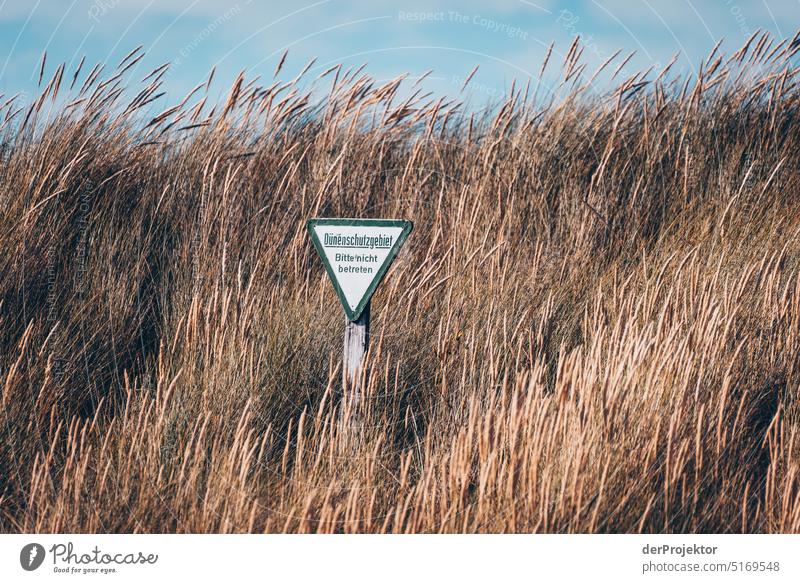 Nature conservation sign on Helgoland dune I Beach Sunbathing Species diversity nature conservation Experiencing nature Nature reserve Copy Space top